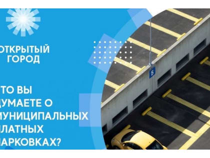 Чебоксарцев приглашают поделиться своим мнением о платных парковках