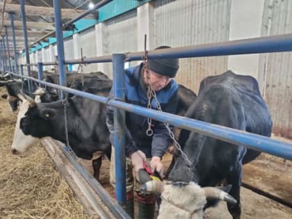 Профилактика сибирской язвы в Алатырском муниципальном округе