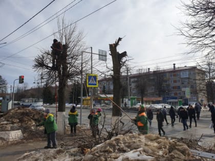 В Новочебоксарске выполняют работы по обрезке деревьев