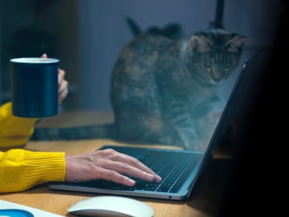 За три года самозанятые Чувашии заработали более 10 млрд рублей