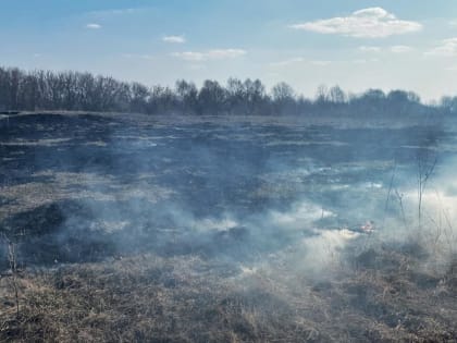 За минувший день в Чувашии зафиксировано 7 случаев возгорания сухой травы
