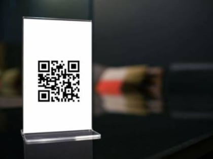 Активисты, предложившие провести референдум против QR- кодов, пожаловались на ЦИК в Верховный суд Чувашии