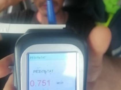 В Чувашии за сутки поймали 13 пьяных водителей