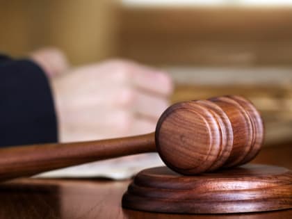 В Батыревском районе осудили сельчанина за убийство матери