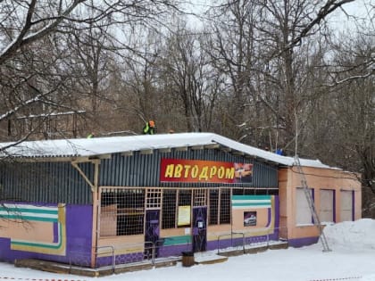 Вычистить дорожки, убрать лед: Лакреевский парк готовится к выходным