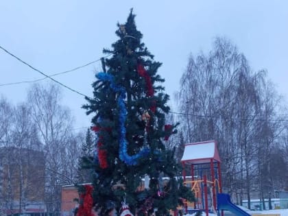 По просьбе жителей ул. Б.Хмельницкого в Чебоксарах установили новогоднюю пятиметровую ель