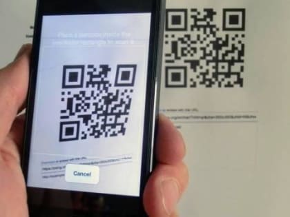 Пока Чувашия дорабатывает систему QR-кодов, в Татарстане непривитые скандалят в автобусах