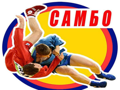 Число оборудованных для занятий самбо школ в Чувашии вырастет втрое