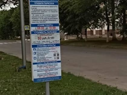 Поступления в бюджет от платного паркинга за полгода выросли в пять раз