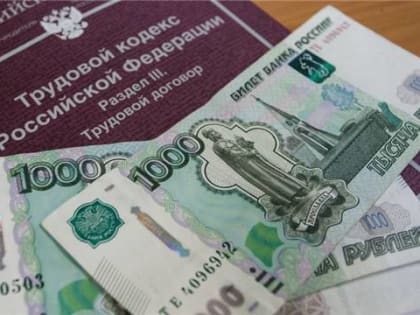 Жителям Чувашии с начала года вернули 20 млн рублей долгов по зарплате