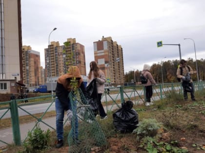 В Чебоксарах подведены итоги санитарно-экологического месячника