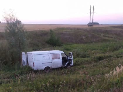 В Канашском округе пьяный водитель ГАЗели съехал в кювет. Погиб пассажир