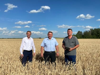 Подведены итоги дня