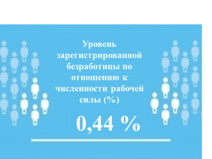 Уровень регистрируемой безработицы в Чувашской Республике составил 0,44%