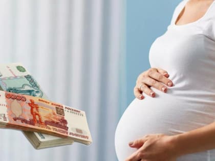 Отделение Социального фонда России по Чувашии приняло более 8 тыс. заявлений  на оформление единого пособия для семей с детьми и беременных женщин