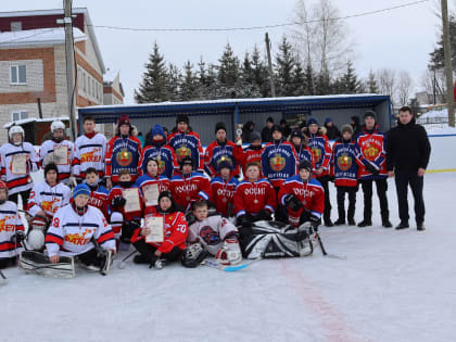 «Золотая шайба» в Ибресинском муниципальном округе