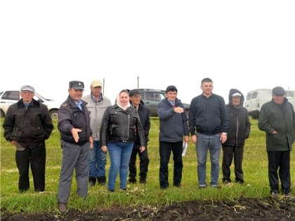 В Батыревском районе проведен смотр полей