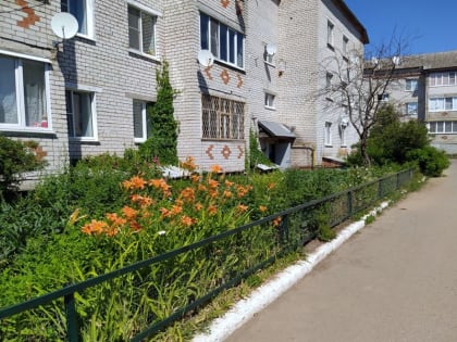 Жители дома №17 по ул. Заводская с. Моргауши навели порядок на своей «планете»