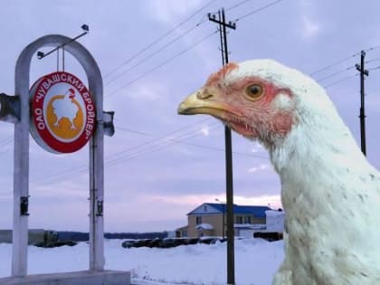 Задолженность по зарплате на предприятии «Чувашский бройлер» обещали погасить в апреле