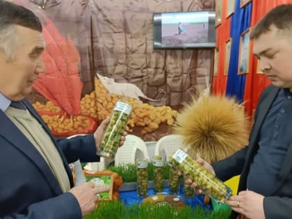 XV Межрегиональная выставка «Картофель-2023»