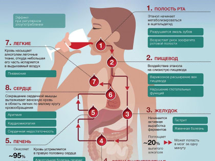 Алкоголизм и его последствия для здоровья