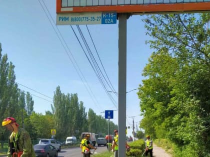 В городе Чебоксары продолжается покос территорий