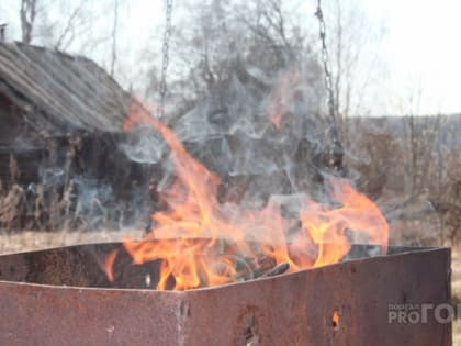 Шашлыки в лесу с завтрашнего дня могут влететь в копеечку