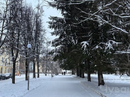 Погода Чувашии: в регионе температура снова упадет ниже нуля
