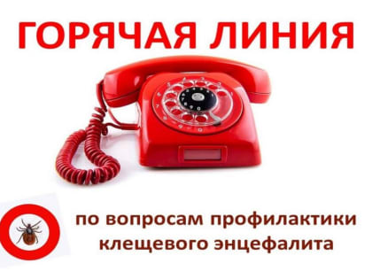 В Чувашии пройдет горячая линия по вопросам профилактики клещевого энцефалита