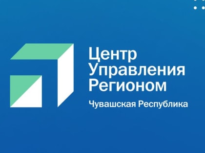 ЦУР Чувашии: около 40 обращений по вопросам соцзащиты поступило от жителей в новогодние праздники