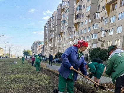 Клены, ели и спиреи: на ул. Гражданская в Чебоксарах стартовал сезон озеленения