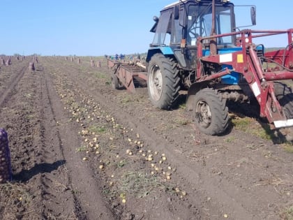 «Горячая пора» сельхозтоваропроизводителей
