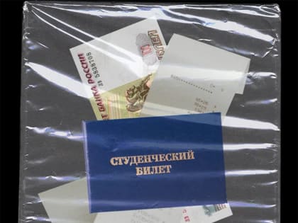 На какие пособия имеет право студенческая семья?
