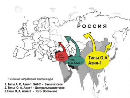 Профилактика ящура
