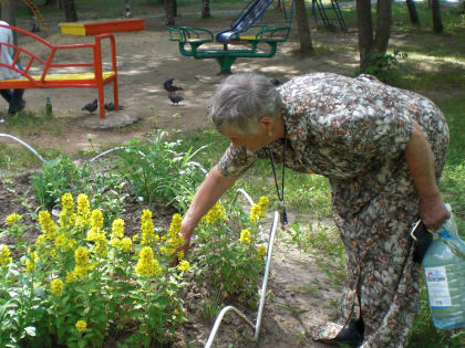 ТОСы Калининского района облагораживают городскую среду к 550-летию г. Чебоксары