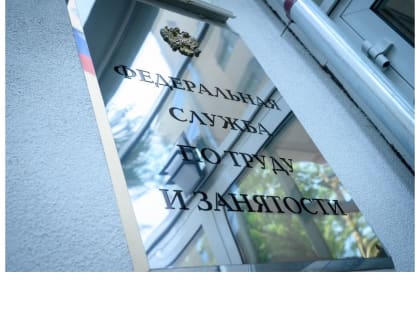 Более 38 тысяч молодых граждан трудоустроено по Программе субсидирования найма