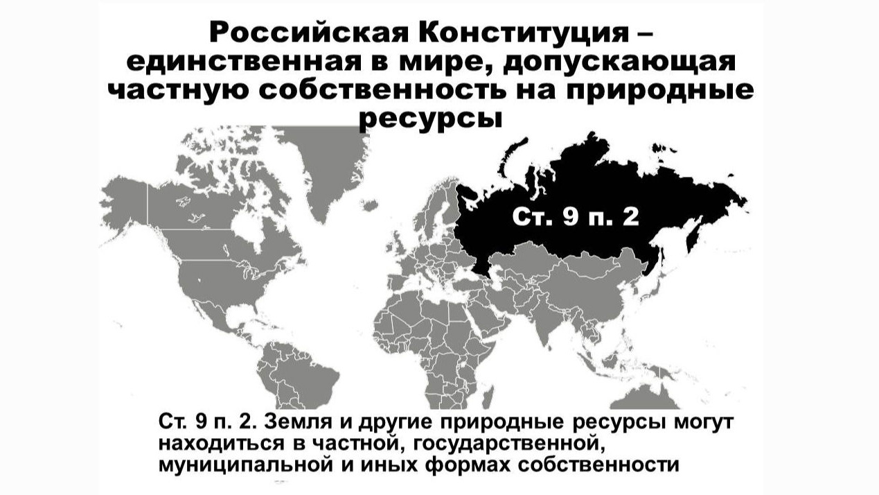 Ресурсы могут находиться в частной. Конституция недра принадлежат народу. Кому принадлежат природные ресурсы. Природные ресурсы принадлежат народу. Кому принадлежат богатства страны РФ.