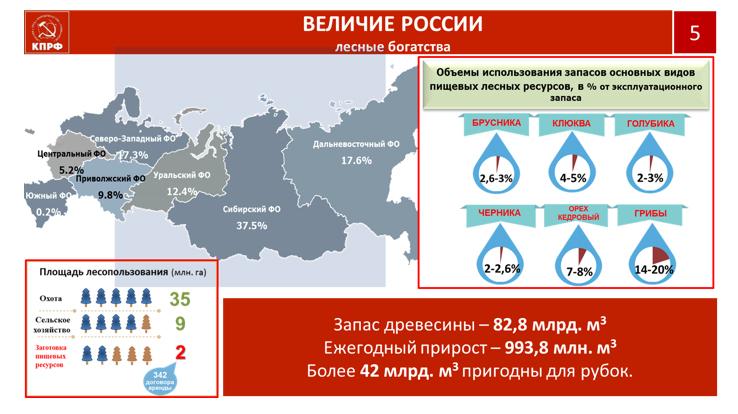 Почему россия лесная держава. Импортозамещение в России. Карта импортозамещения в РФ. Экономика России импортозамещение. Россия Лесная держава.