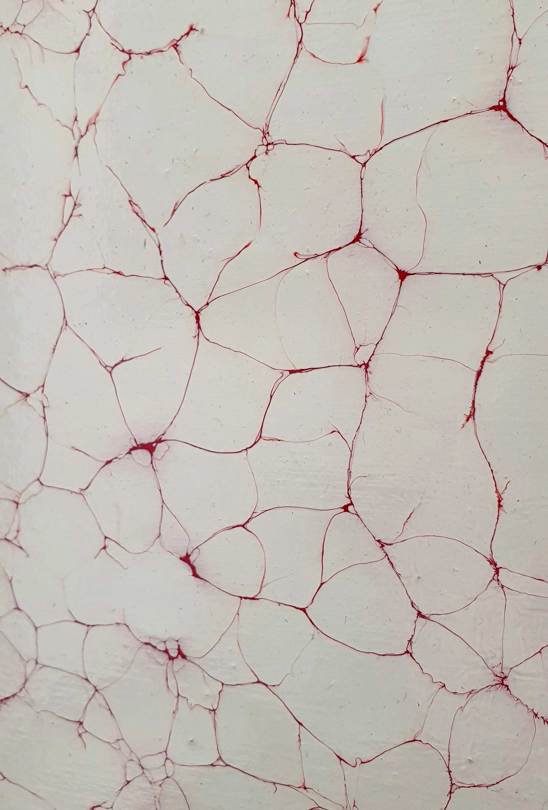 River II — vista 1