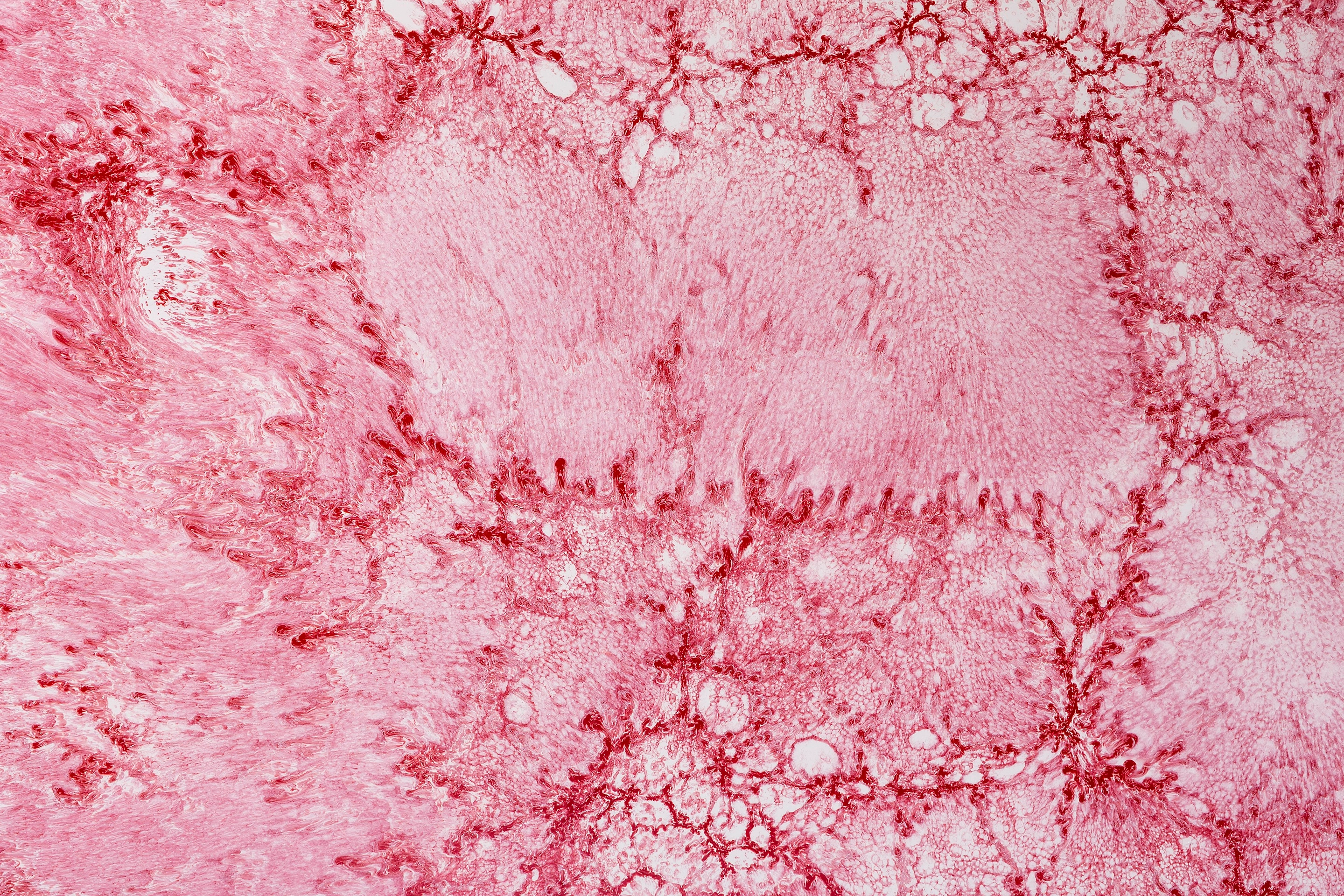 River III — vista 1