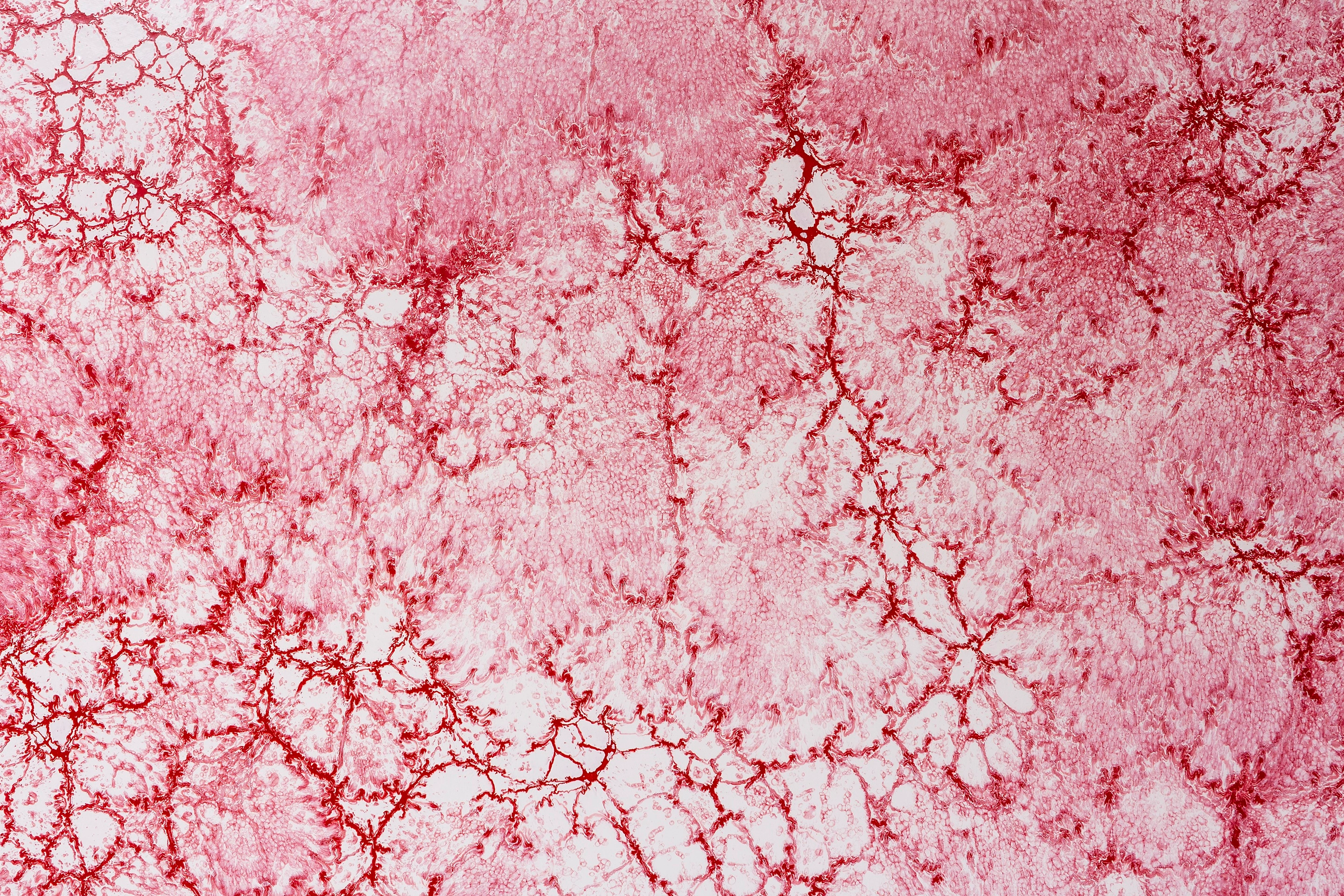 River III — vista 2