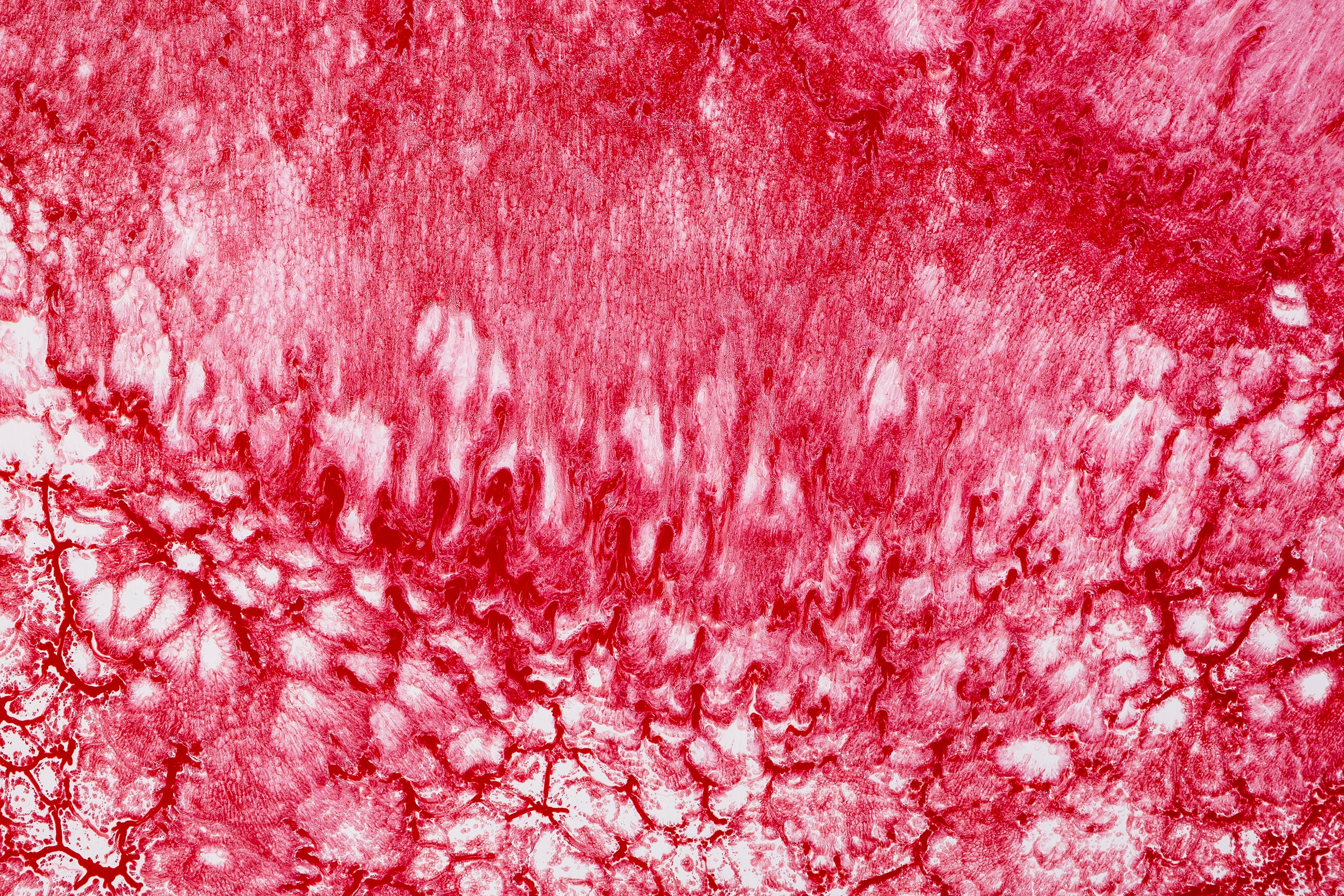 River IV — vista 2