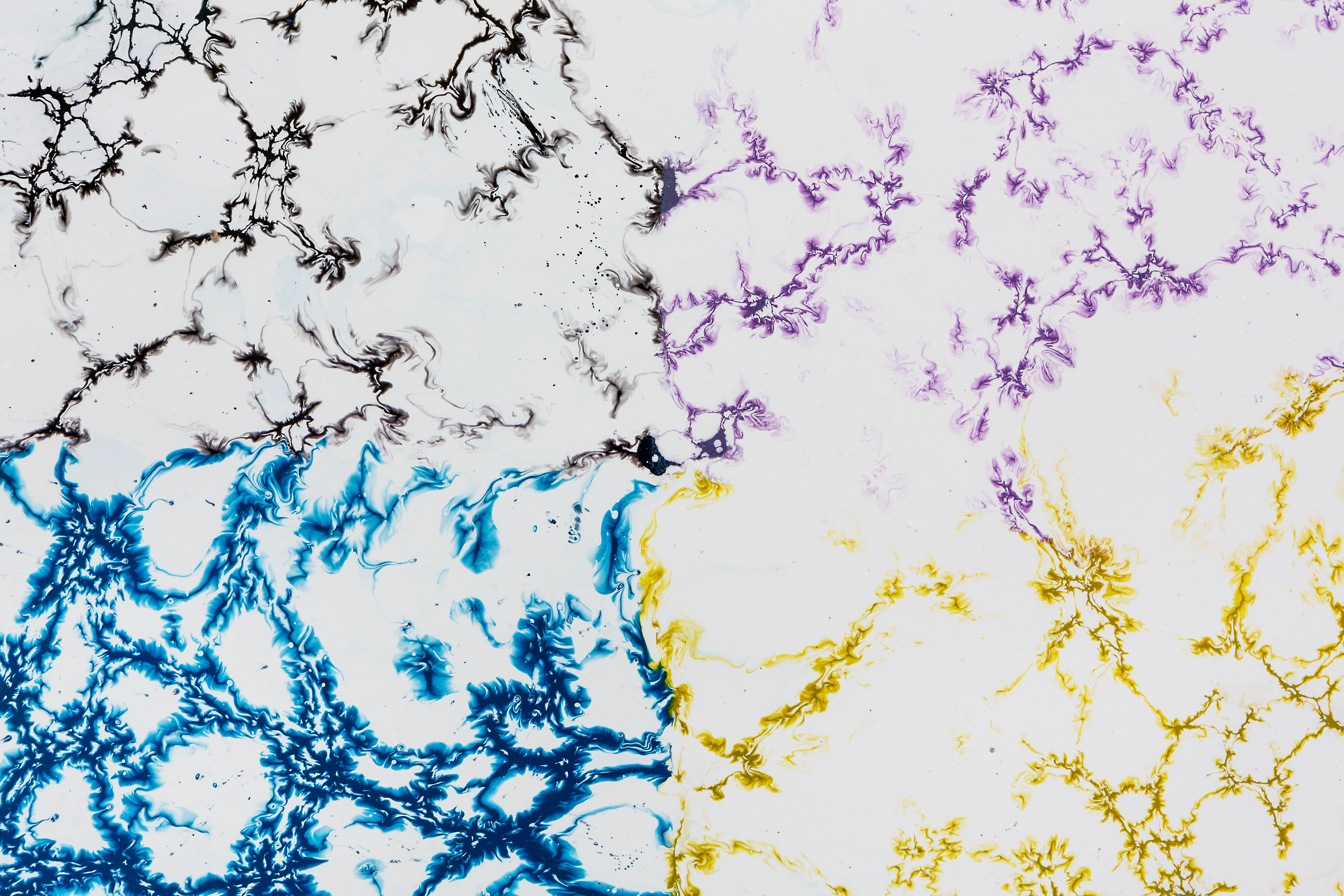 Baile Cromático I — vista 2