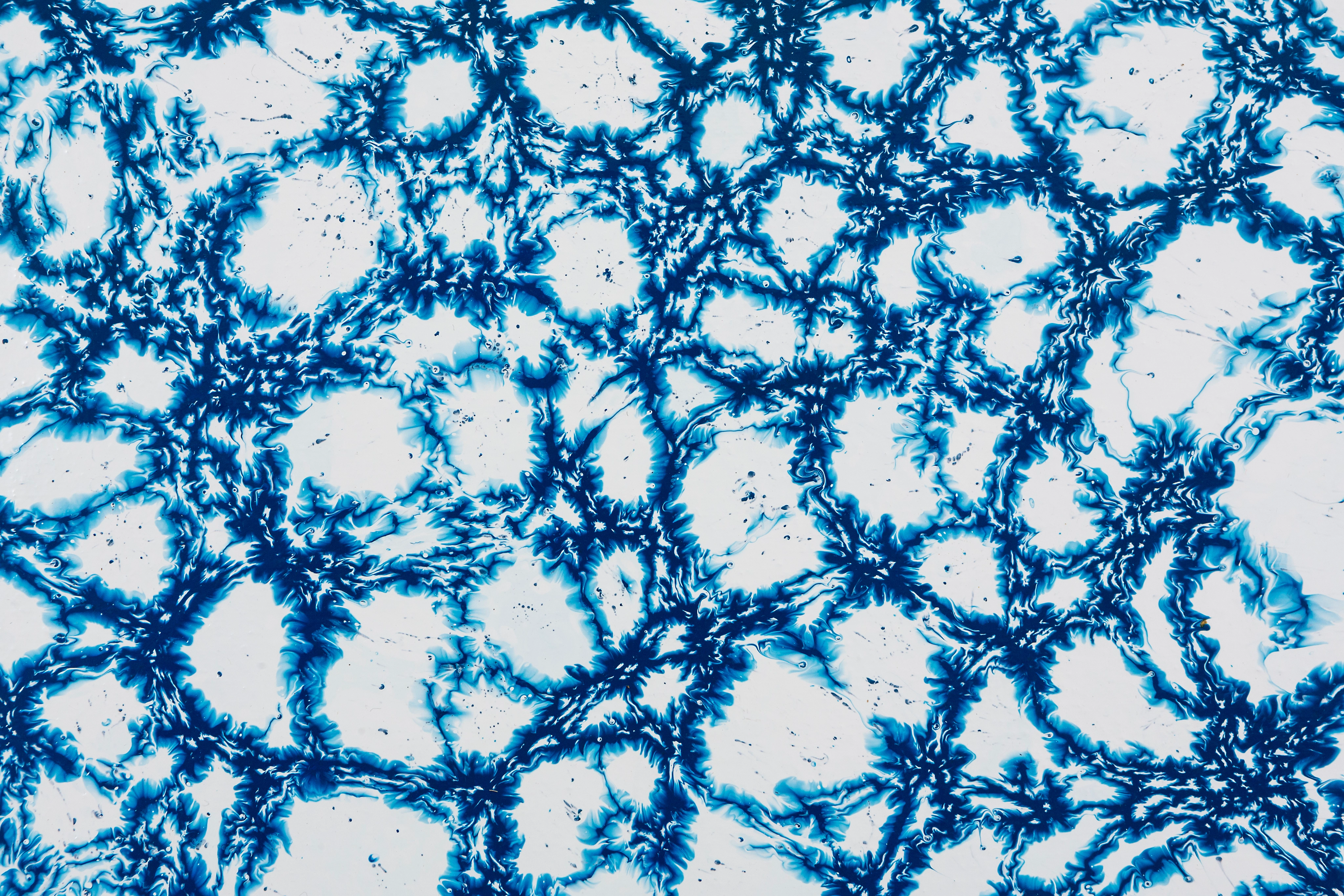 Baile Cromático I — vista 3