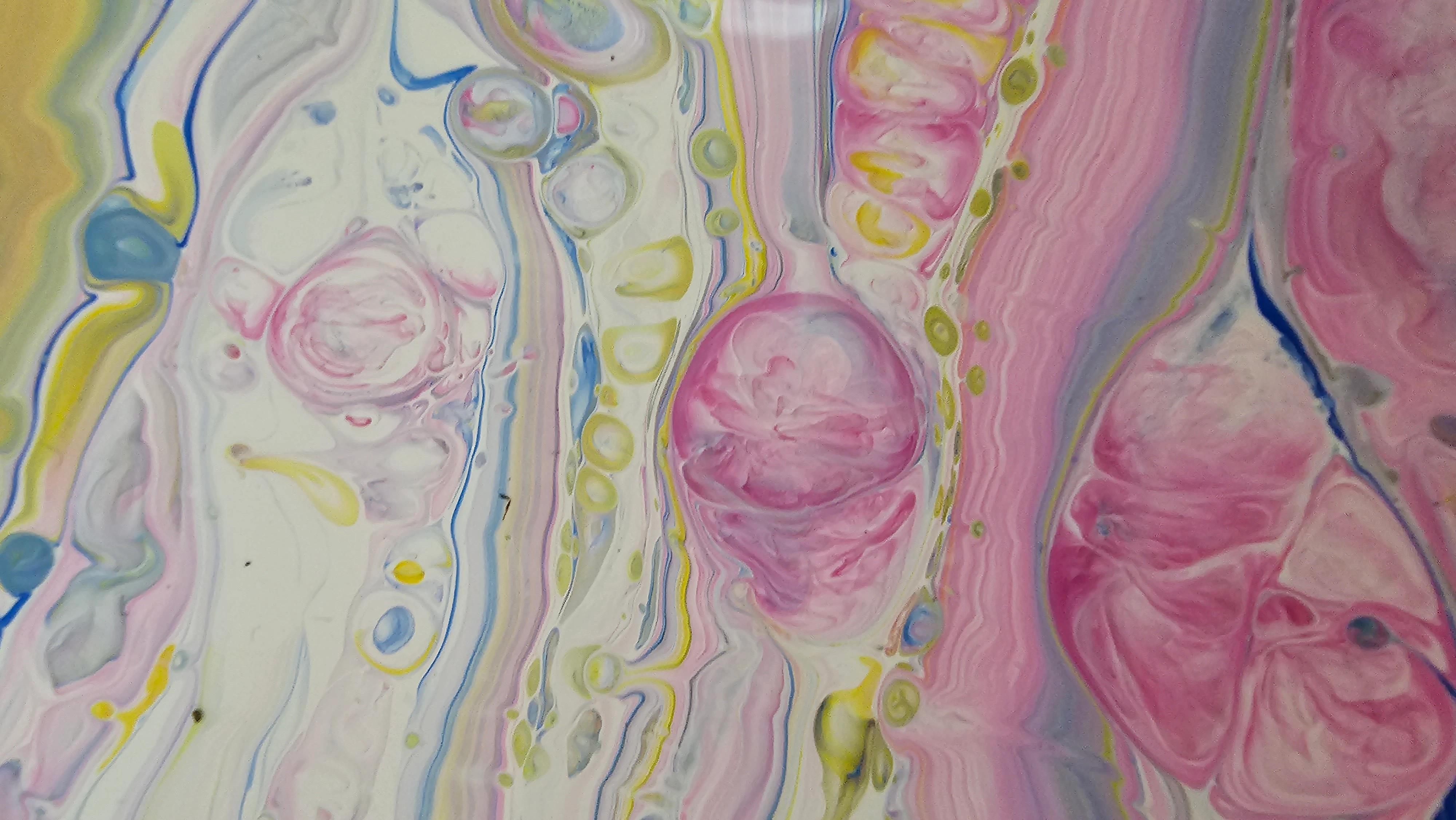 Arquelogía de los corazones IV — vista 6