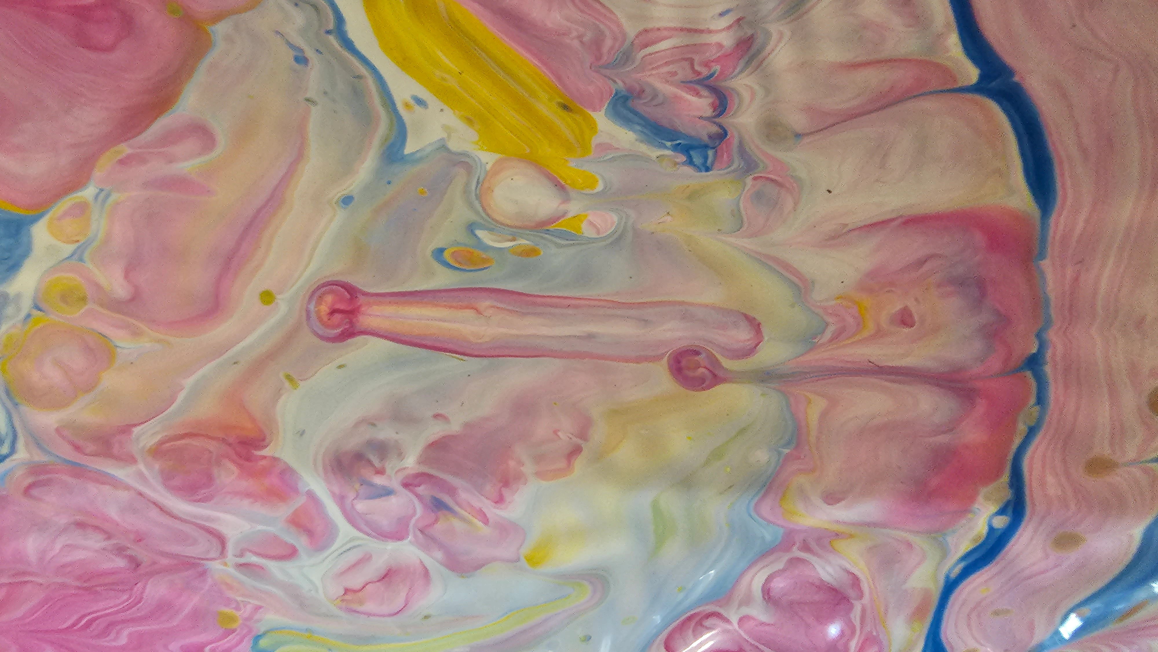 Arquelogía de los corazones IV — vista 8