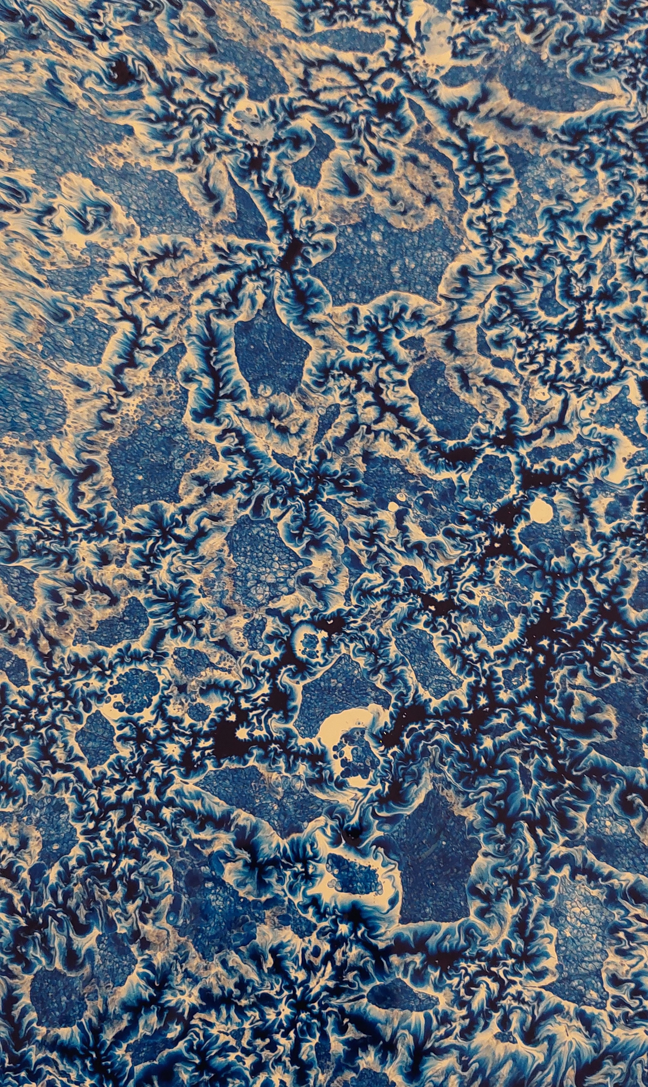 Investigaciones en Azul XVI — vista 3