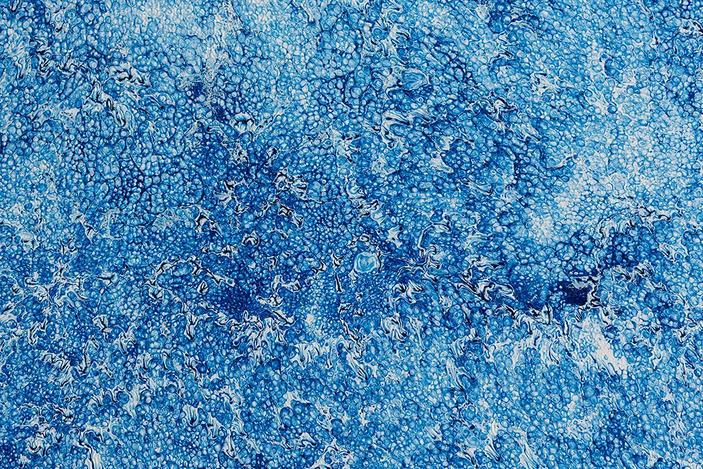 Investigaciones en Azul X — vista 2