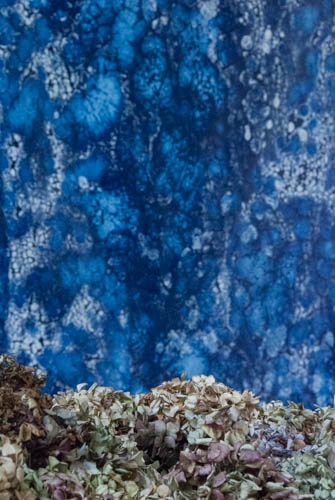 Investigaciones en Azul VIII — vista 1