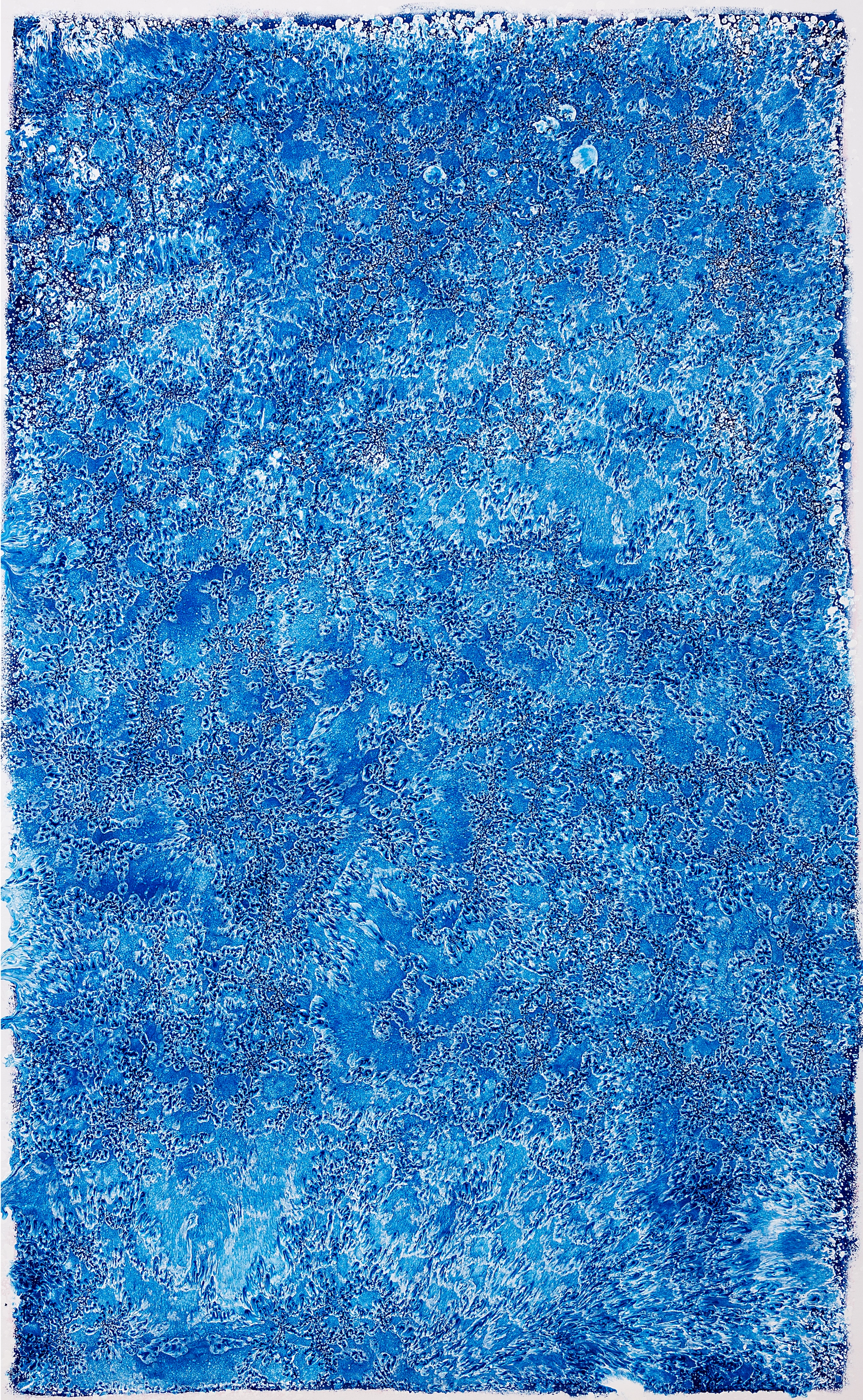 Investigaciones en Azul XVII